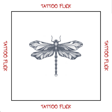 Dragonfly - Temporary Tattoo