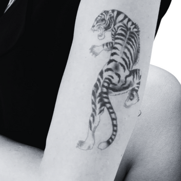 Climbing Tiger - Temporary Tattoo